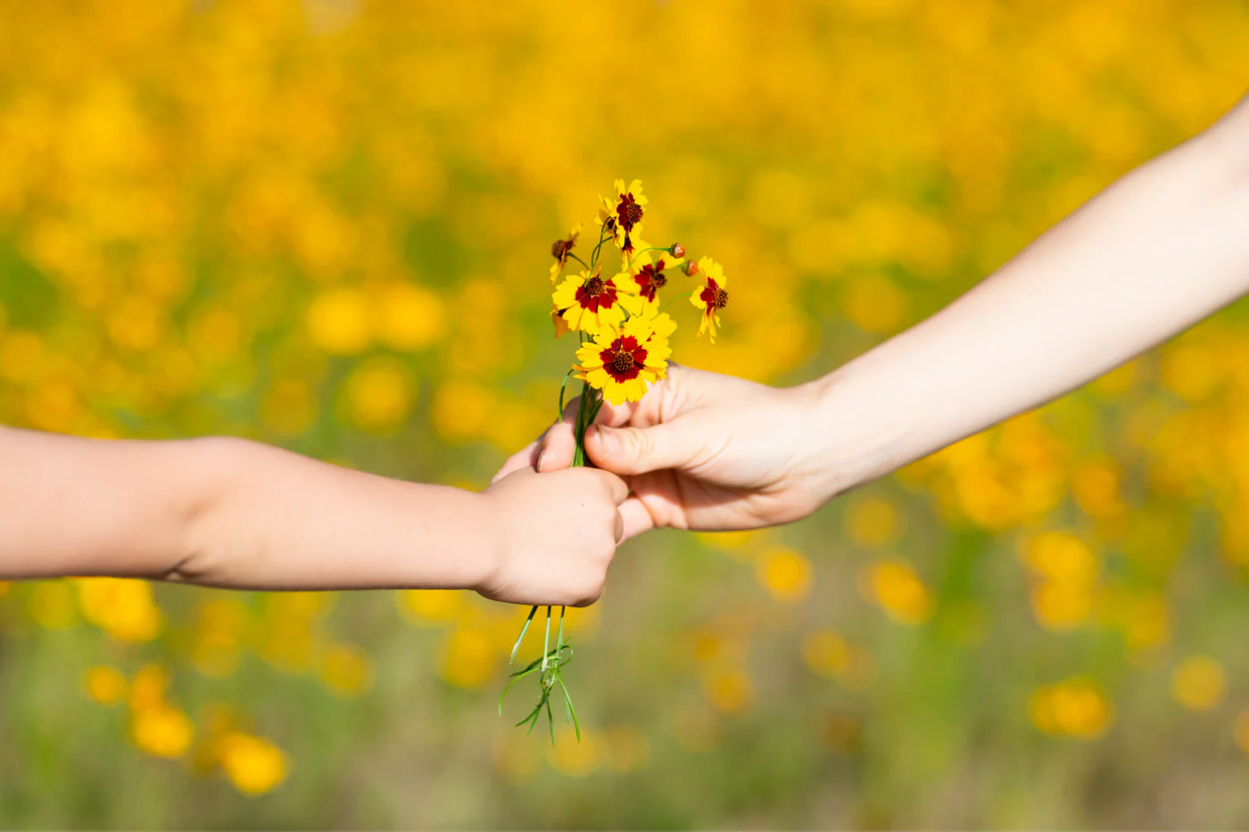 Simple ways to express gratitude daily